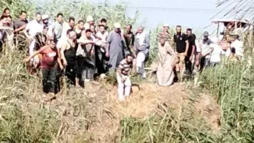 أخبار مصر