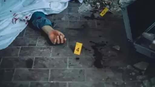 أخبار مصر
