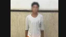 أخبار مصر