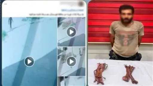 أخبار مصر