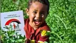 أخبار مصر