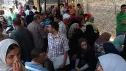 أخبار مصر