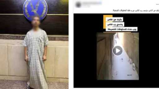 أخبار مصر