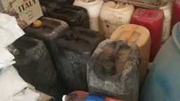 أخبار مصر