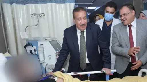 أخبار مصر