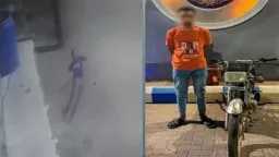 أخبار مصر
