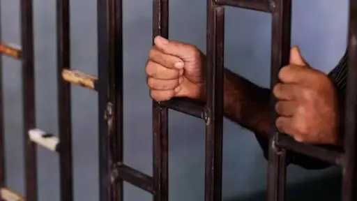 أخبار مصر