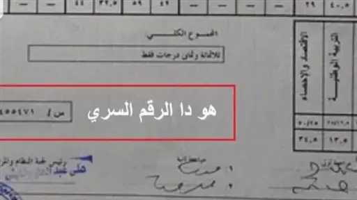 أخبار مصر