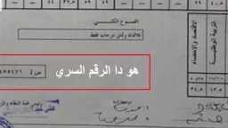 أخبار مصر