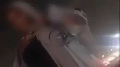 أخبار مصر