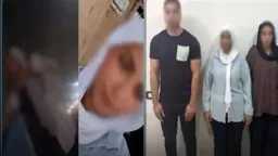 أخبار مصر