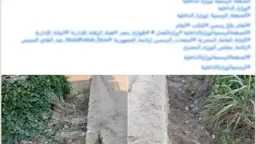 أخبار مصر