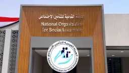 أخبار مصر