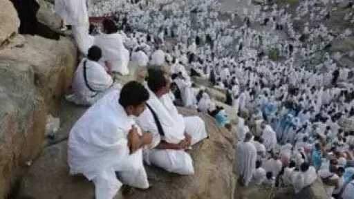 أخبار مصر