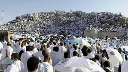 أخبار مصر