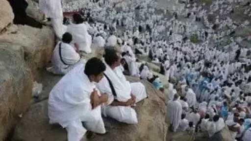 أخبار مصر