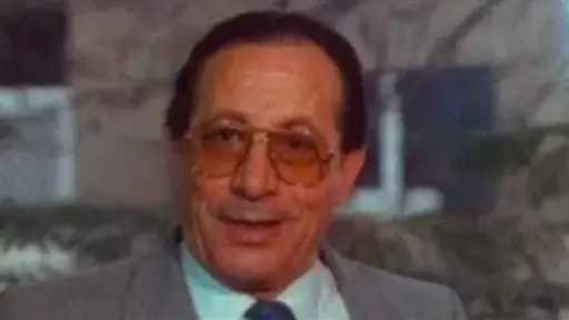 فن