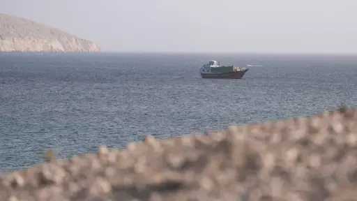 عربي ودولي