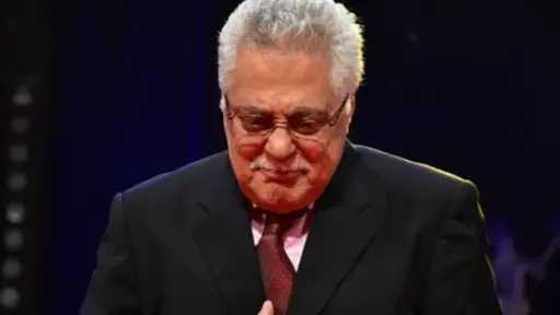 فن