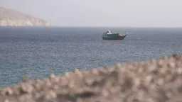 عربي ودولي