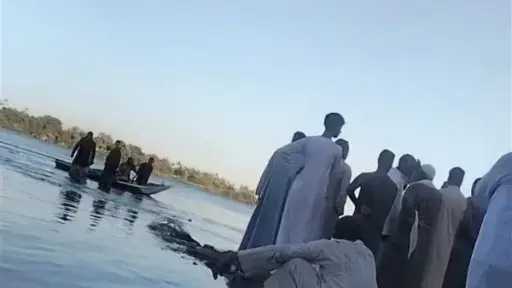 أخبار مصر