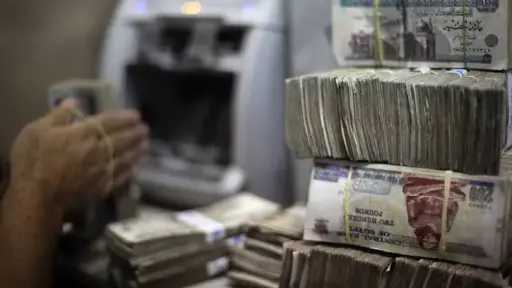 أخبار مصر