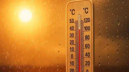 أخبار مصر