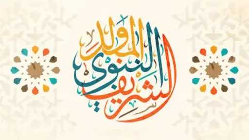 أخبار مصر