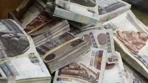 أخبار مصر