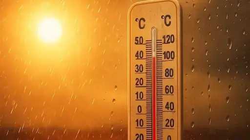 أخبار مصر