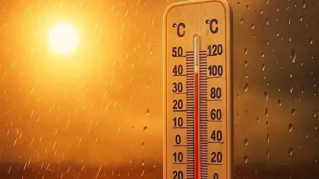 أخبار مصر