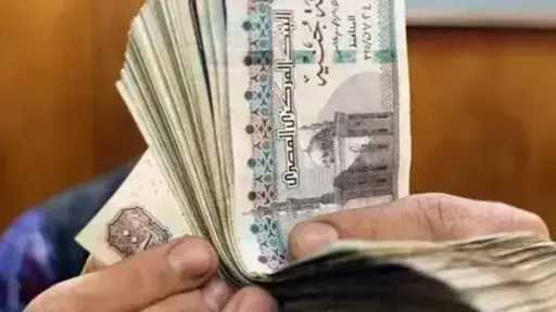 أخبار مصر