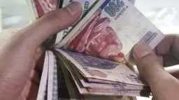 أخبار مصر