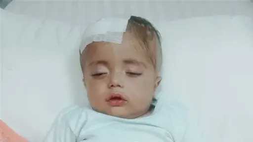 أخبار مصر