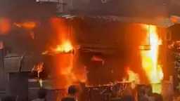 أخبار مصر