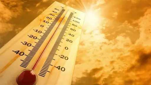 أخبار مصر
