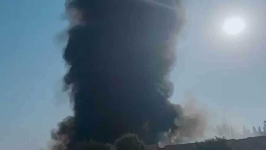 أخبار مصر