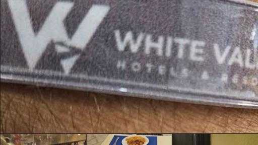 أخبار مصر