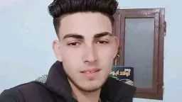 أخبار مصر