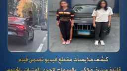 أخبار مصر