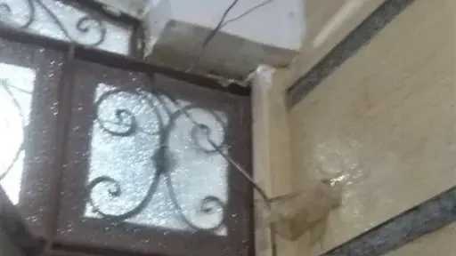 أخبار مصر