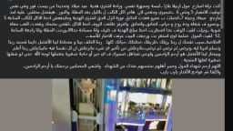 أخبار مصر