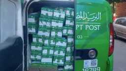 أخبار مصر