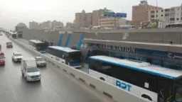 أخبار مصر