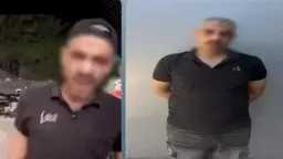 أخبار مصر