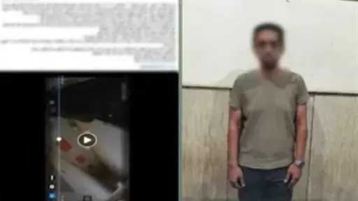 أخبار مصر