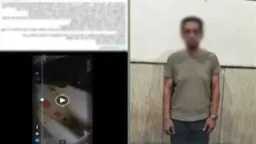 أخبار مصر
