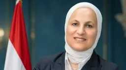أخبار مصر