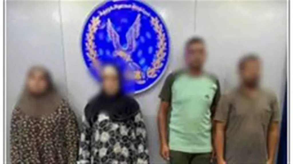 أخبار مصر