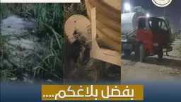 أخبار مصر